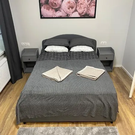 Cozy Apartman Vilnius
